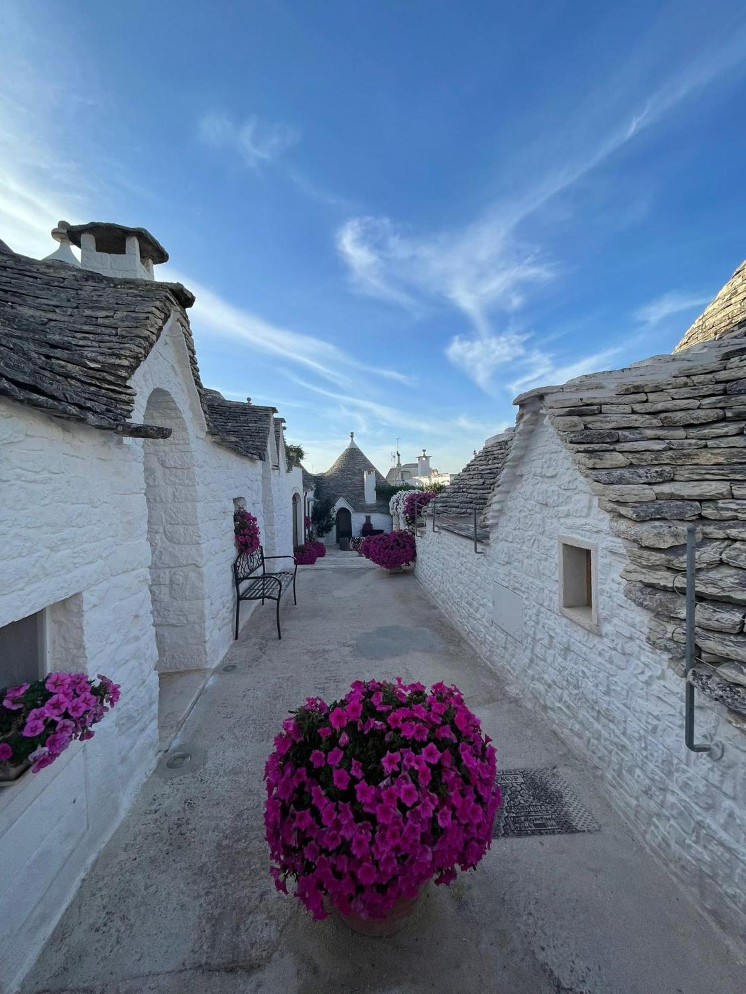 Rosas Guest House - La Cementina Bari Kültér fotó